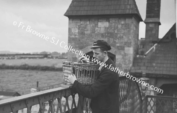 TRAVEL GOODS LTD RELEASING PIGEON AT PORTARLINGTON STATION